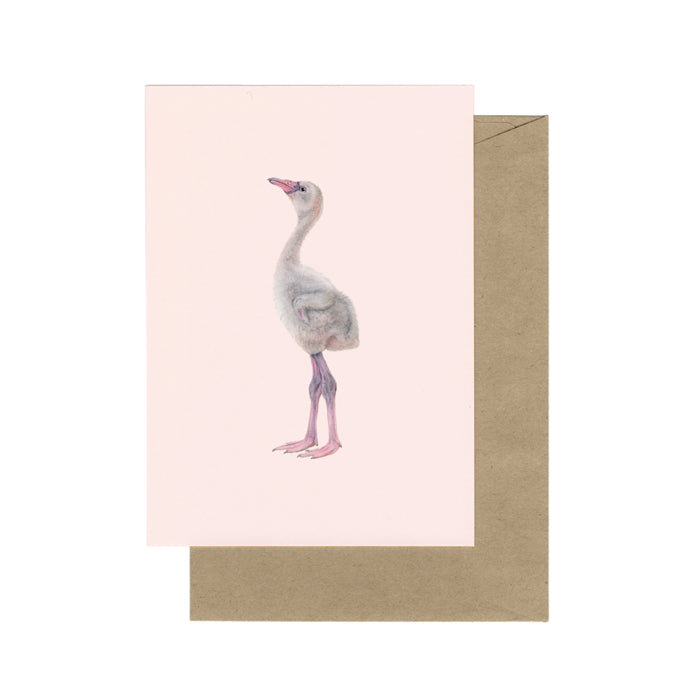Lonneke Grimbergen Art - Kaart jonge flamingo