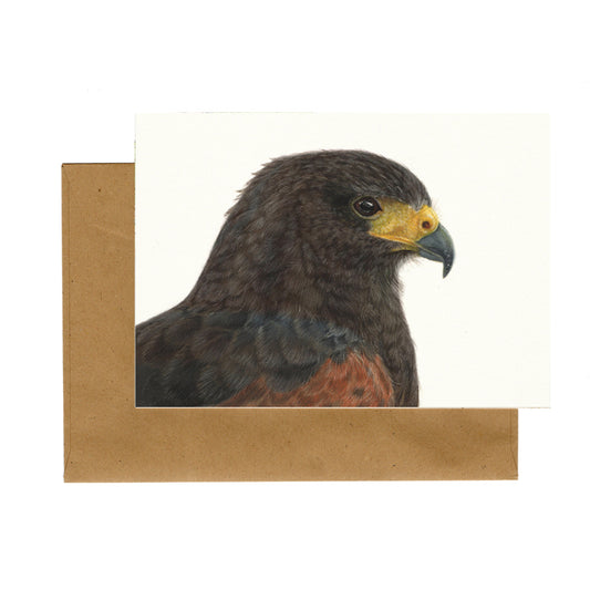Lonneke Grimbergen Art - Woestijnbuizerd