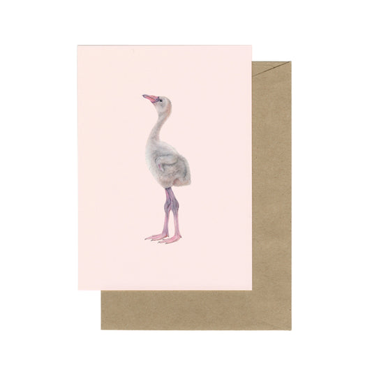 Lonneke Grimbergen Art - Kaart‏‏‎ jonge flamingo