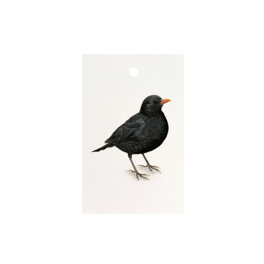 Lonneke Grimbergen Art - Mini Kaartje merel