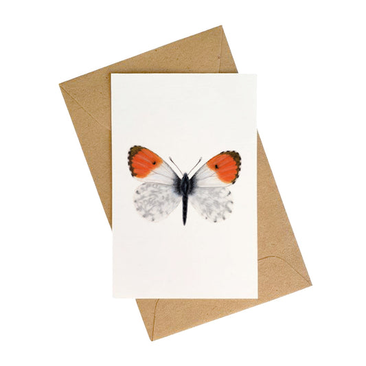 Lonneke Grimbergen Art - Mini Kaartje Oranjetipje
